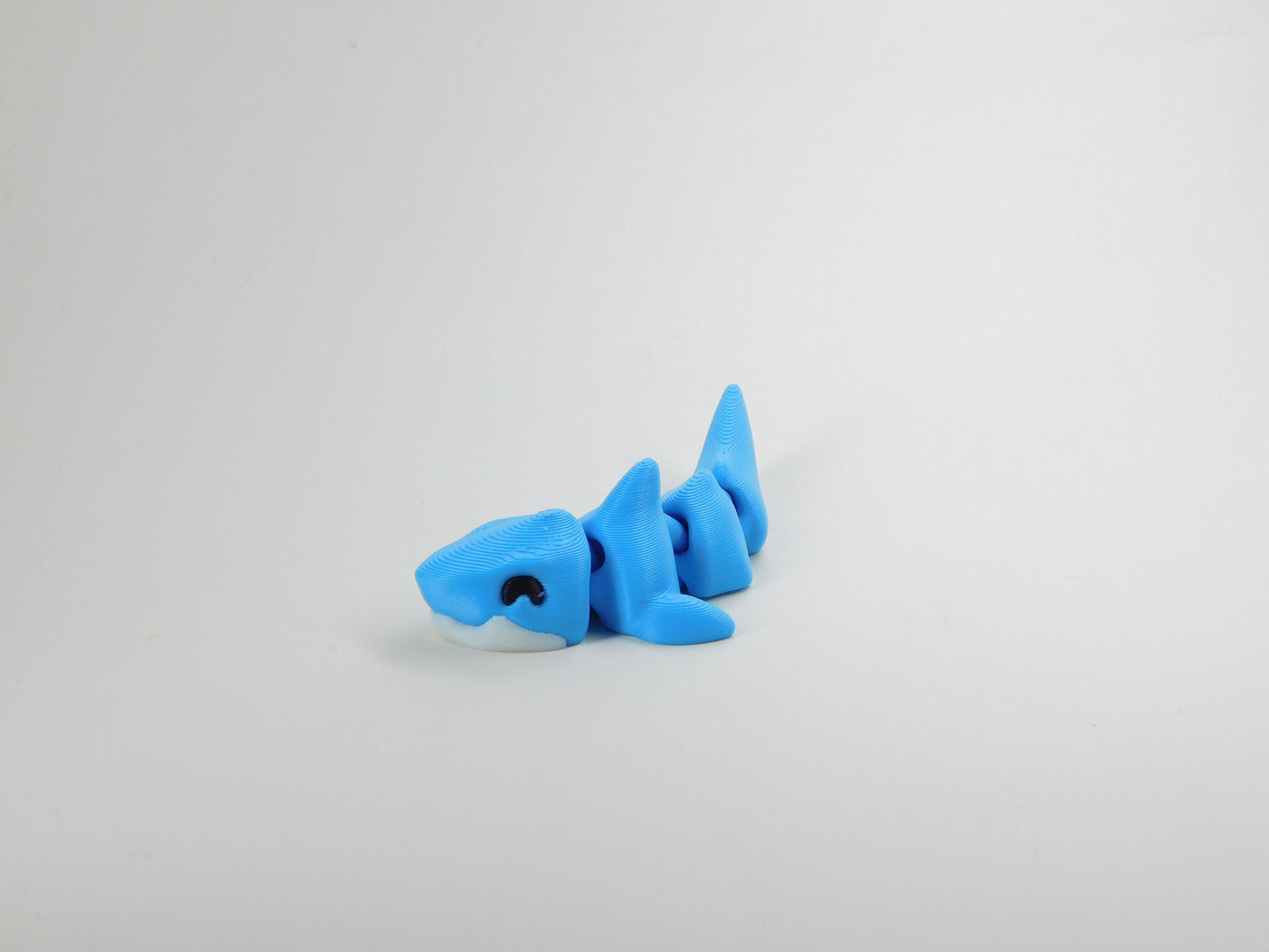 Sally the Shark